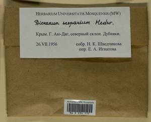Dicranum scoparium Hedw., Гербарий мохообразных, Мхи - Крым (B3a) (Россия)