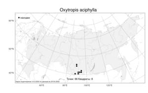 Oxytropis aciphylla, Остролодочник колючий Ledeb., Атлас флоры России (FLORUS) (Россия)