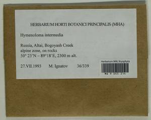 Hymenoloma mulahaceni (Höhn.) Ochyra, Гербарий мохообразных, Мхи - Западная Сибирь (включая Алтай) (B15) (Россия)