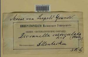 Dicranella cerviculata (Hedw.) Schimp., Гербарий мохообразных, Мхи - Прибалтика (B1) (Эстония)