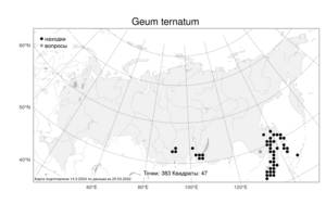 Geum ternatum, Вальдштейния тройчатая (Stephan) Smedmark, Атлас флоры России (FLORUS) (Россия)