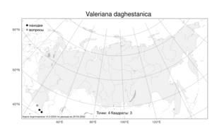 Valeriana daghestanica, Валериана дагестанская Rupr. ex Boiss., Атлас флоры России (FLORUS) (Россия)