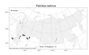 Palimbia rediviva, Палимбия оживающая (Pall.) Thell., Атлас флоры России (FLORUS) (Россия)
