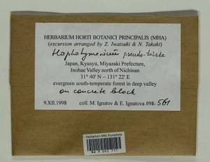 Haplohymenium pseudotriste (Müll. Hal.) Broth., Гербарий мохообразных, Мхи - Азия (вне границ бывшего СССР) (BAs) (Япония)