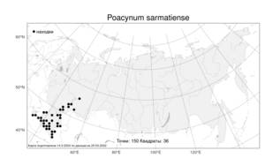 Poacynum sarmatiense (Woodson) Mavrodiev, Laktionov & Yu. E. Alexeev, Атлас флоры России (FLORUS) (Россия)