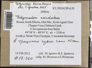 Didymodon baicalensis Ignatova & Ignatov, Гербарий мохообразных, Мхи - Западная Сибирь (включая Алтай) (B15) (Россия)