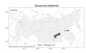Saussurea poljakowii, Соссюрея Полякова Glehn, Атлас флоры России (FLORUS) (Россия)