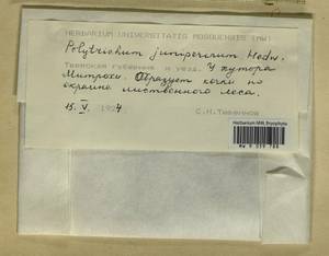 Polytrichum juniperinum Hedw., Гербарий мохообразных, Мхи - Центральное Нечерноземье (B6) (Россия)