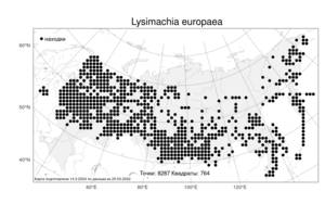 Lysimachia europaea, Седмичник европейский (L.) U. Manns & Anderb., Атлас флоры России (FLORUS) (Россия)