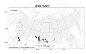 Lotus krylovii, Лядвенец Крылова Schischk. & Serg., Атлас флоры России (FLORUS) (Россия)