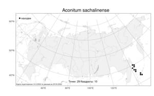 Aconitum sachalinense, Борец сахалинский F. Schmidt, Атлас флоры России (FLORUS) (Россия)