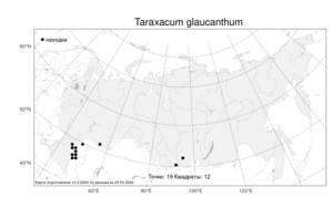 Taraxacum glaucanthum, Одуванчик сизоцветковый (Ledeb.) Nakai ex Koidz., Атлас флоры России (FLORUS) (Россия)