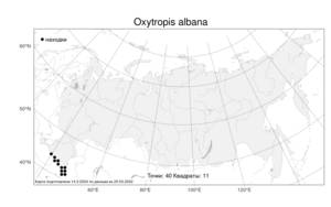Oxytropis albana, Остролодочник албанский Steven, Атлас флоры России (FLORUS) (Россия)