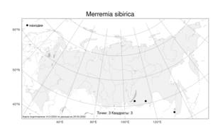 Merremia sibirica, Мерремия сибирская (L.) Hallier fil., Атлас флоры России (FLORUS) (Россия)