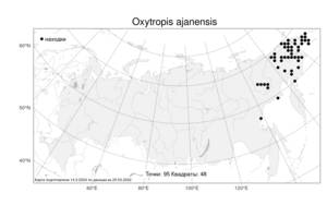 Oxytropis ajanensis, Остролодочник аянский (Regel & Tiling) Bunge, Атлас флоры России (FLORUS) (Россия)