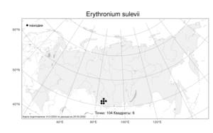 Erythronium sulevii (Rukšāns) Stepanov, Атлас флоры России (FLORUS) (Россия)