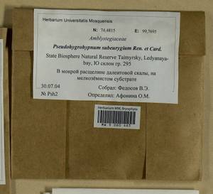 Pseudohygrohypnum subeugyrium (Renauld & Cardot) Ignatov & Ignatova, Гербарий мохообразных, Мхи - Красноярский край, Тыва и Хакасия (B17) (Россия)