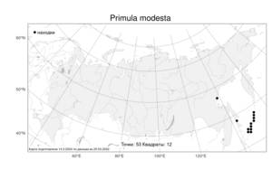 Primula modesta, Первоцвет скромный Bisset & Moore, Атлас флоры России (FLORUS) (Россия)