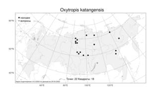 Oxytropis katangensis, Остролодочник катангский Basil., Атлас флоры России (FLORUS) (Россия)