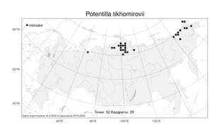 Potentilla tikhomirovii, Potentilla ×tikhomirovii Jurtzev, Атлас флоры России (FLORUS) (Россия)