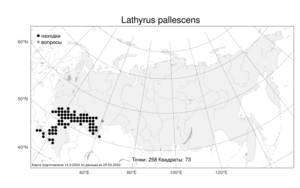 Lathyrus pallescens, Чина бледная (M.Bieb.) K.Koch, Атлас флоры России (FLORUS) (Россия)