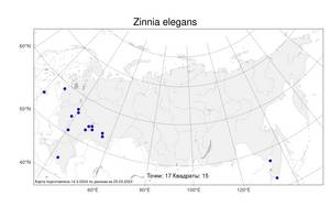 Zinnia elegans, Цинния изящная Jacq., Атлас флоры России (FLORUS) (Россия)