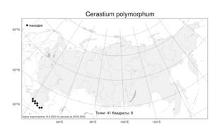 Cerastium polymorphum, Ясколка полиморфная Rupr., Атлас флоры России (FLORUS) (Россия)