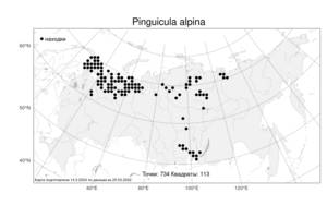 Pinguicula alpina, Жирянка альпийская L., Атлас флоры России (FLORUS) (Россия)
