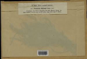 Fontinalis antipyretica subsp. bryhnii (Limpr.) Podp., Гербарий мохообразных, Мхи - Западная Европа (BEu) (Норвегия)