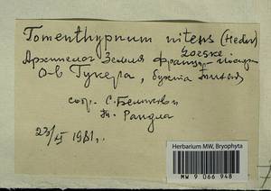 Tomentypnum nitens (Hedw.) Loeske, Гербарий мохообразных, Мхи - Архангельская и Вологодская области, Коми, Ненецкий АО (B7) (Россия)