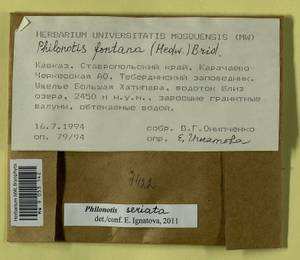 Philonotis seriata Mitt., Гербарий мохообразных, Мхи - Северный Кавказ и Предкавказье (B12) (Россия)