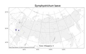 Symphyotrichum laeve, Американская астра гладкая (L.) Á. Löve & D. Löve, Атлас флоры России (FLORUS) (Россия)
