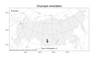 Oxytropis reverdattoi, Остролодочник Ревердатто Jurtzev, Атлас флоры России (FLORUS) (Россия)