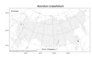 Aconitum crassifolium, Борец толстолистный Steinb., Атлас флоры России (FLORUS) (Россия)