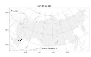 Ferula nuda, Ферула голая Spreng., Атлас флоры России (FLORUS) (Россия)