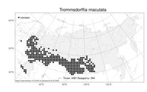 Trommsdorffia maculata (L.) Bernh., Атлас флоры России (FLORUS) (Россия)