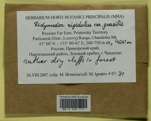 Didymodon rigidulus Hedw., Гербарий мохообразных, Мхи - Дальний Восток (без Чукотки и Камчатки) (B20) (Россия)