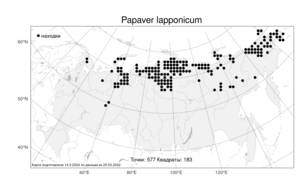 Papaver lapponicum, Oreomecon lapponica (Tolm.) Galasso, Banfi & Bartolucci, Атлас флоры России (FLORUS) (Россия)