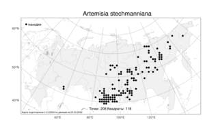 Artemisia stechmanniana Besser, Атлас флоры России (FLORUS) (Россия)