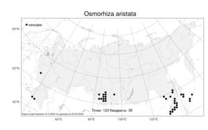 Osmorhiza aristata, Осмориза остистая (Thunb.) Rydb., Атлас флоры России (FLORUS) (Россия)