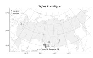 Oxytropis ambigua, Остролодочник сходный (Pall.) DC., Атлас флоры России (FLORUS) (Россия)