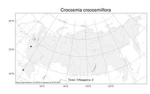 Crocosmia crocosmiiflora, Крокосмия обыкновенная (Lemoine) N.E.Br., Атлас флоры России (FLORUS) (Россия)