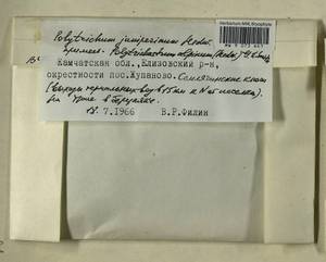 Polytrichum juniperinum Hedw., Гербарий мохообразных, Мхи - Чукотка и Камчатка (B21) (Россия)