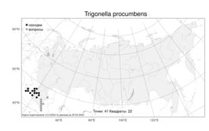 Trigonella procumbens, Пажитник лежачий (Besser) Rchb., Атлас флоры России (FLORUS) (Россия)
