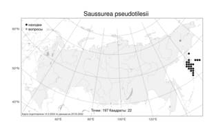 Saussurea pseudotilesii, Соссюрея ложно-тилезиева Lipsch., Атлас флоры России (FLORUS) (Россия)