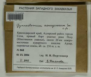 Gymnostomum aeruginosum Sm., Гербарий мохообразных, Мхи - Северный Кавказ и Предкавказье (B12) (Россия)