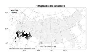 Rhaponticoides ruthenica (Lam.) M. V. Agab. & Greuter, Атлас флоры России (FLORUS) (Россия)