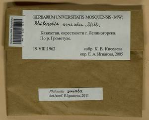 Philonotis seriata Mitt., Гербарий мохообразных, Мхи - Средняя Азия и Казахстан (B16) (Казахстан)