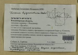 Funaria hygrometrica Hedw., Гербарий мохообразных, Мхи - Центральное Нечерноземье (B6) (Россия)