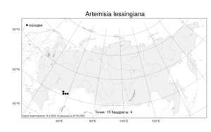 Artemisia lessingiana, Полынь Лессинга Besser, Атлас флоры России (FLORUS) (Россия)